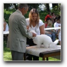 tn_Thumbnail CAC Trbovlje 2007
