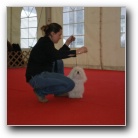 CACIB Tromostovje 2008 CACIB Tromostovje 2008
