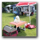 CACIB Varazdin 2008 CACIB Varazdin 2008